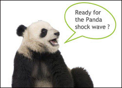 Google Panda la fin du monde